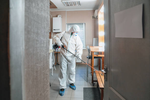 Best Black Mold Removal  in Flat Rock, MI