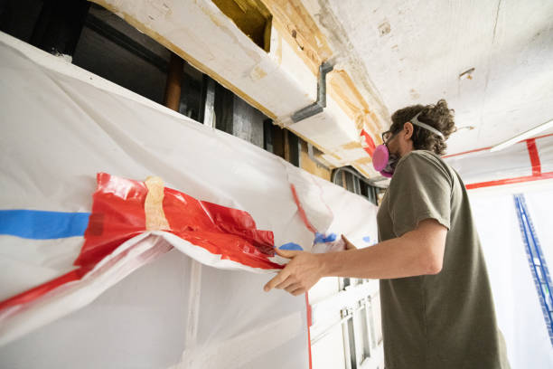 Trusted Flat Rock, MI Mold Removal Experts
