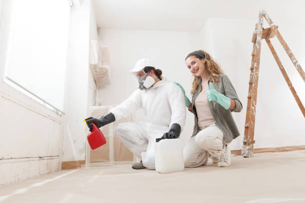 Best Biohazard Mold Removal  in Flat Rock, MI